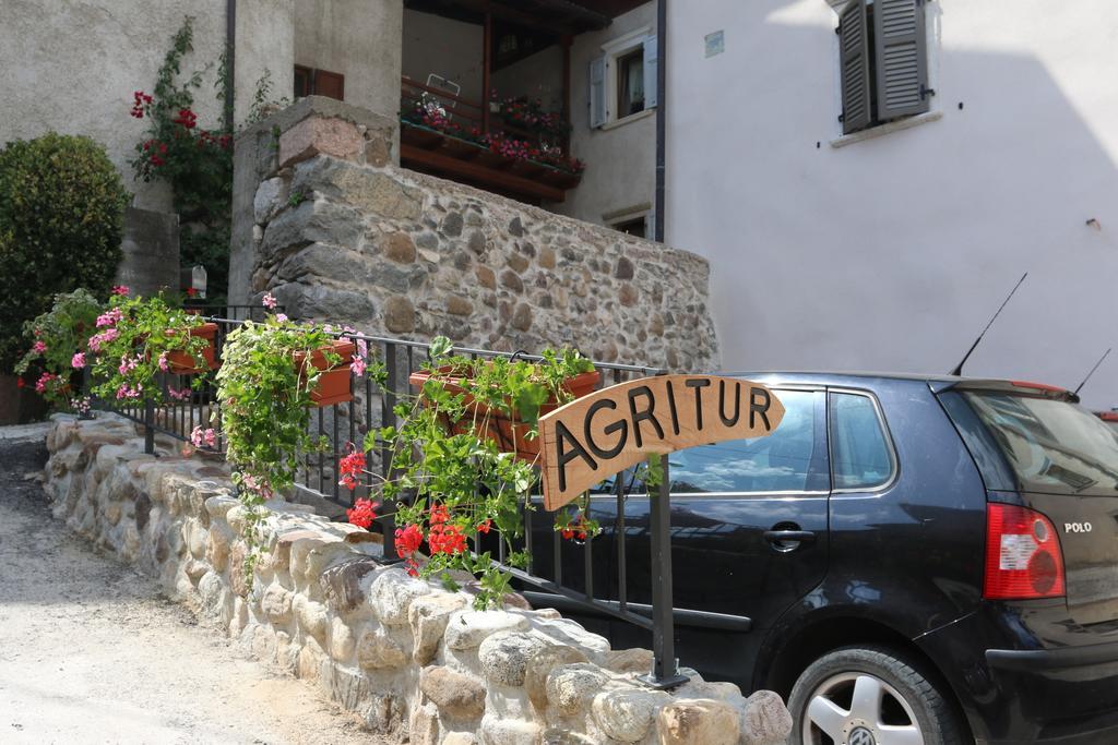 Agriturismo La Ciasa Del Fabio Tassul Exterior foto